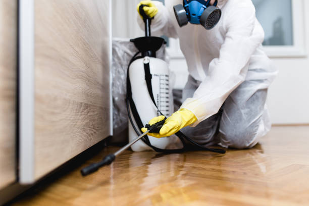 Best Cockroach Control Services  in Shrub Oak, NY
