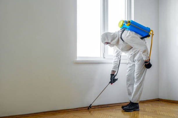 Best Exterminator Services  in Shrub Oak, NY