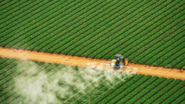 Best Pest Removal Services  in Shrub Oak, NY
